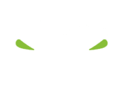 Motors web design